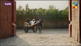 Jhok Sarkar - Episode 13 - 29th August 2023